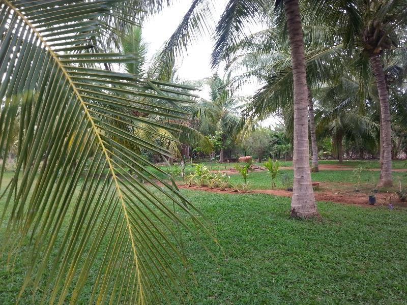 Serenity Lake Resort Yala Тиссамахарама Экстерьер фото