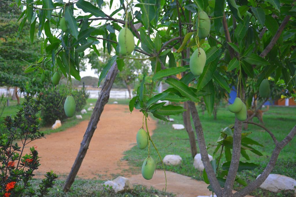 Serenity Lake Resort Yala Тиссамахарама Экстерьер фото